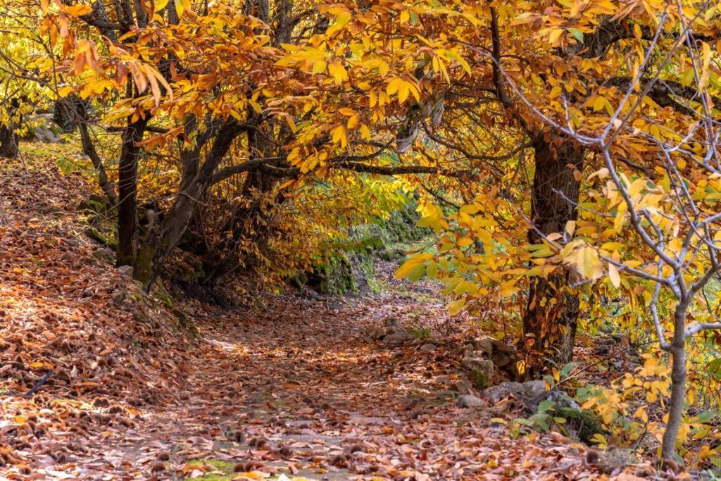La Canada Del Valle Del Jerte Наваконсехо Экстерьер фото
